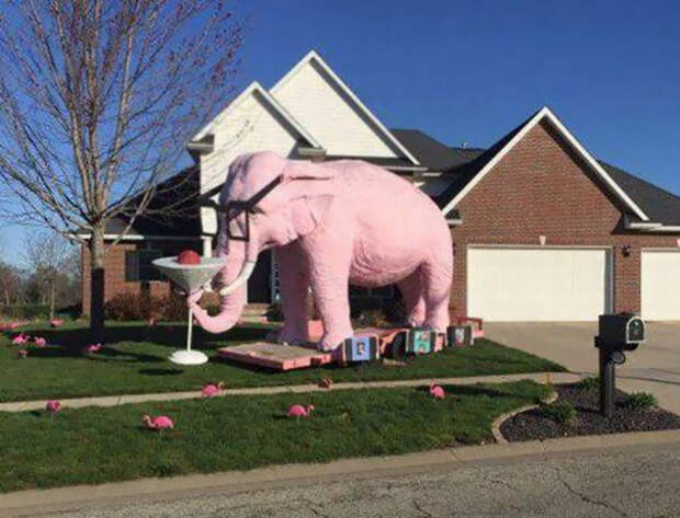 И розовый слон размером с дом дом, забавно, забавные случаи, неожиданно, смешно, соседи, фото, юмор