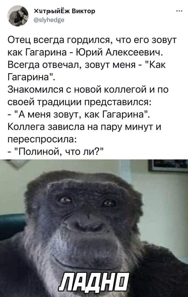Смешные картинки 11 февраля 2022 года