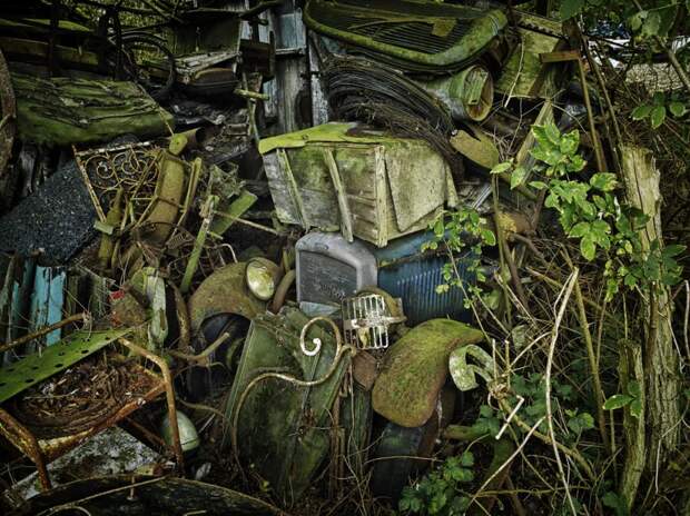 Природа против металла: 15 фотографий машин, застрявших в вечной пробке