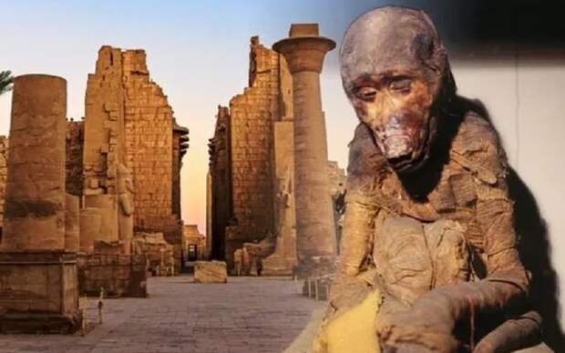Древнеегипетские мумии павианов пролили свет на затерянное царство Пунт