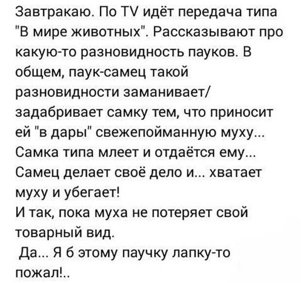 Картинки для улучшения настроения и поднятия тонуса Картинки для улучшения настроения и поднятия тонуса