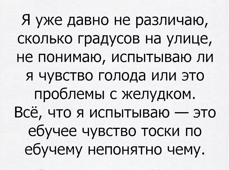 Смешные картинки с надписями прикол, юмор