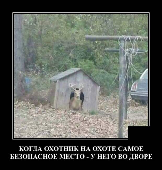 Демотиваторы 14 июля 2021