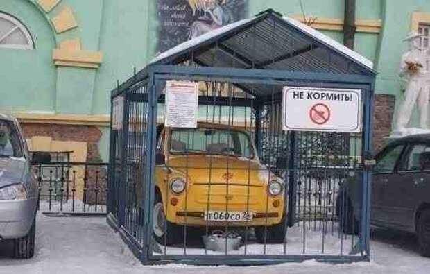 Новогодняя минутка юмора Новогодняя минутка юмора