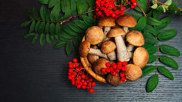 5 традиционных русских блюд с грибами (РЕЦЕПТЫ)