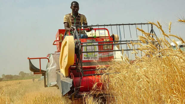 Le Monde: мировой голод теперь вполне возможен