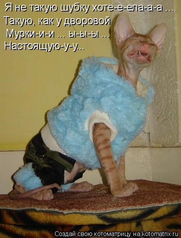 Мысли вслух :)