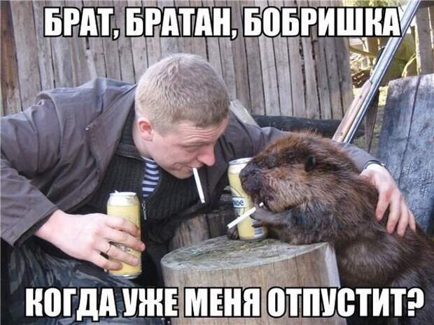 Смешные и пошлые картинки  комментарии, переписка, смс, соц. сети, юмор