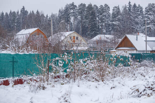 Специалист назвал ошибки садоводов, способные навредить растениям зимой