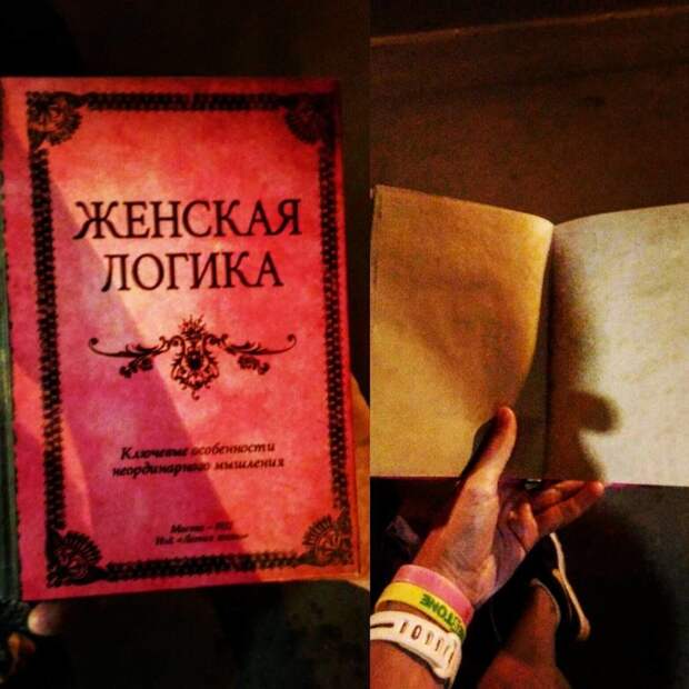 Все попытки писателей еще ни разу не увенчались успехом девушки, женская логика, женщины, прикол, юмор