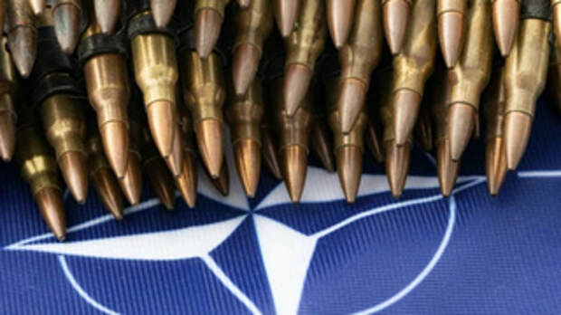 Символ НАТО и патроны / Фото: unsplash.com