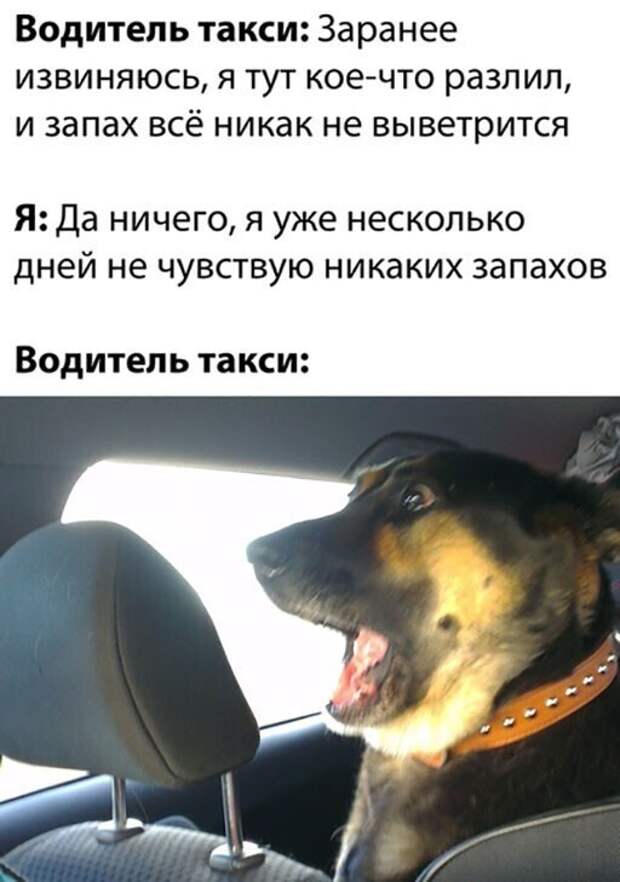 Картинки для улучшения настроения и поднятия тонуса Картинки для улучшения настроения и поднятия тонуса