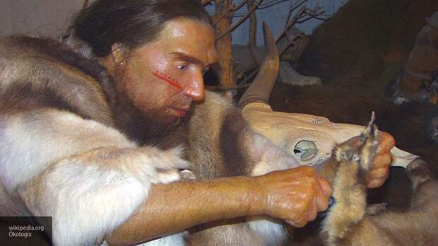 Расшифрован геном неандертальцев, живших на Алтае 80 тысяч лет назад
