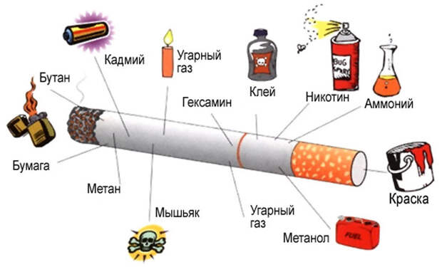 5 продуктов избавляющих от никотина в организме