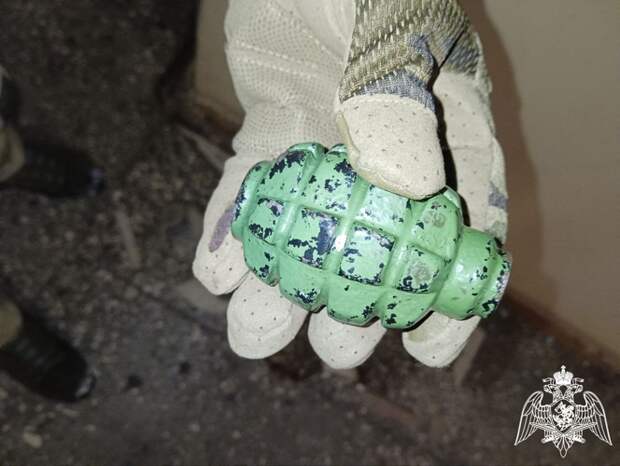 В ивановской квартире обнаружили боевую гранату Ф-1