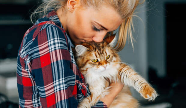 Pet Kisses
