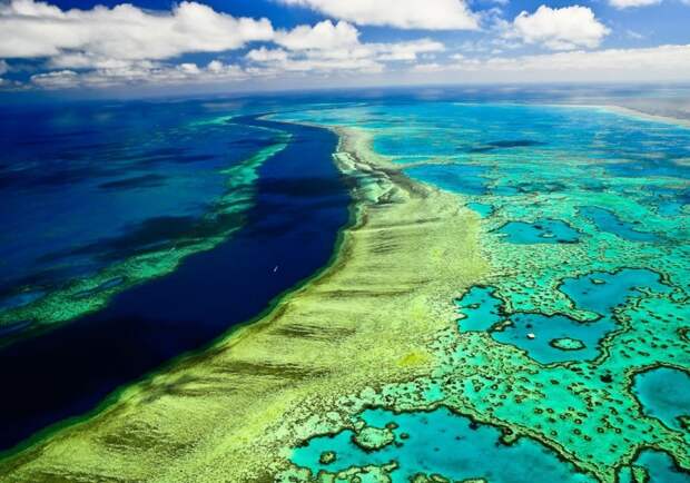Большой Барьерный Риф австралия, красота, природа, удивительное