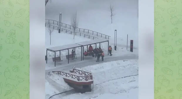 Мигранты бросили лопаты: снежный коллапс в Подмосковье показал провал системы