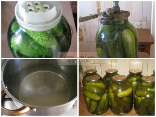 Маринованные огурцы на зиму: лучшие рецепты с фото