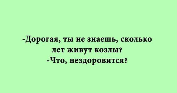 Множество отличных анекдотов