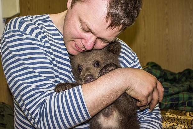 Андрей очень привязан к медвежонку. Фото: Андрей ИВАНОВ 