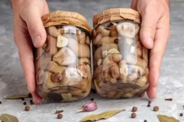 Сделать форшмак или пиццу. 10 идей, как использовать консервированные грибы