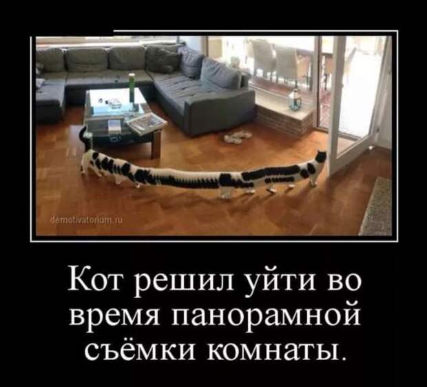 Прикольные демотиваторы с надписями. Подборка chert-poberi-dem-chert-poberi-dem-31530217102020-15 картинка chert-poberi-dem-31530217102020-15