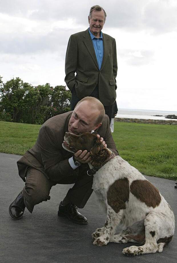 20 самых ярких фотографий Путина с животными