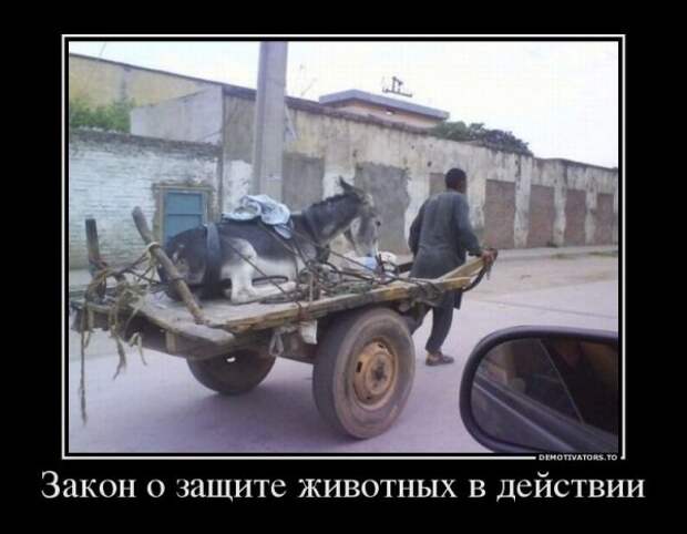 демотиваторное