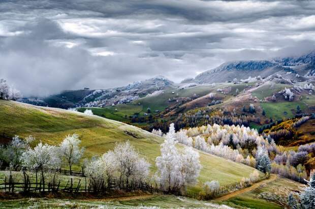 best-photos-of-the-month-november-2014-artnaz-com-14