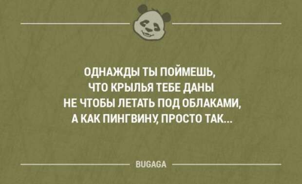Прикольные фразы в картинках с надписями. Часть 76 (17 шт)