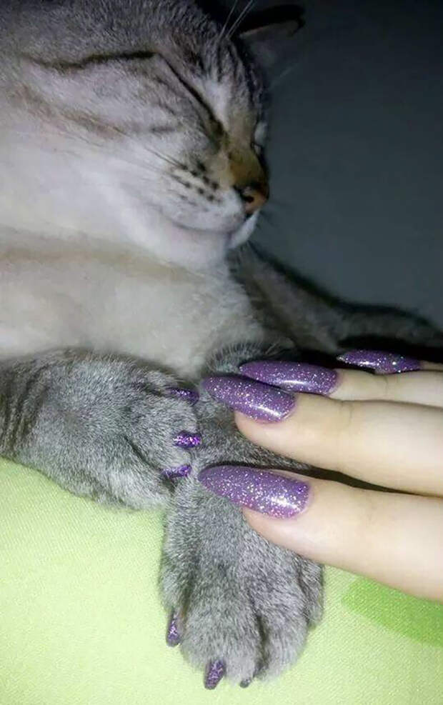 People Are Getting Matching Manicures With Their Pets (Non-Toxic), And It’s The Best Fashion Trend Of 2017