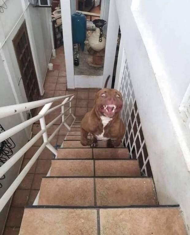 Тут не до шуток! Тут не до шуток!