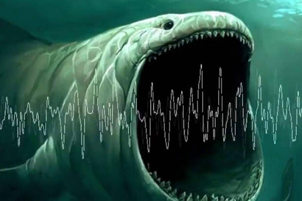 Звуки на дне океана. Ученые пытаются найти источник сигнала из бездны