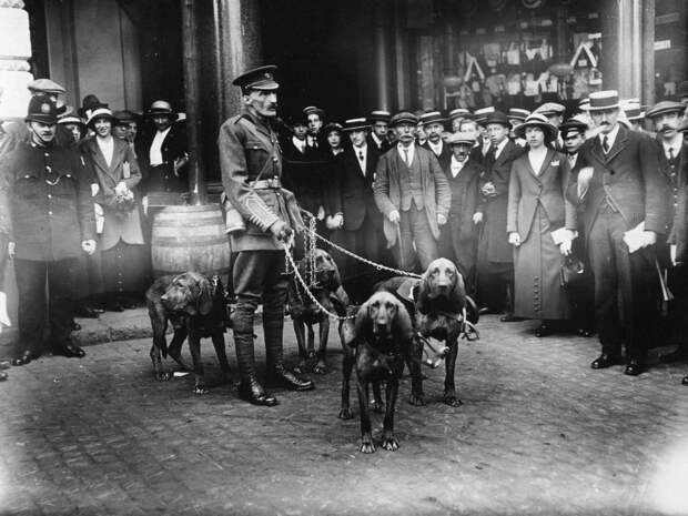 Школа боевых псов В 1917 году англичане открыли первую в мире официальную школу-питомник для выращивания боевых собак. Выпускниками War Dog School стали более 7000 псов, большая часть которых пошла служить в армию и полицию.