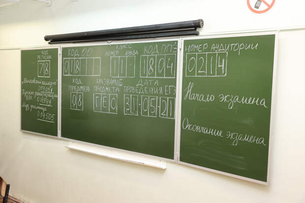 На ЕГЭ в Петербурге традиционно выбрали профильную математику
