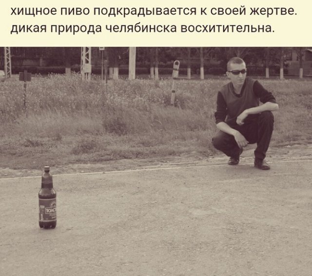 Шутки про алкоголь от пользователей социальных сетей, которые хорошо провели выходные