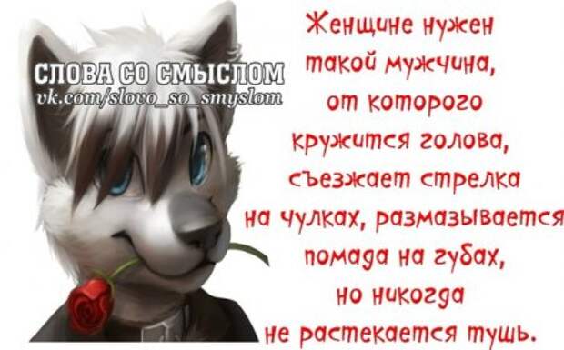 Веселые цитаты в картинках.