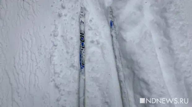В Тюменской области школьник сломал ключицу на уроке физкультуры