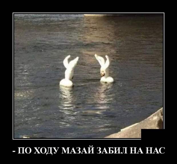 Демотиваторы (30 фото)