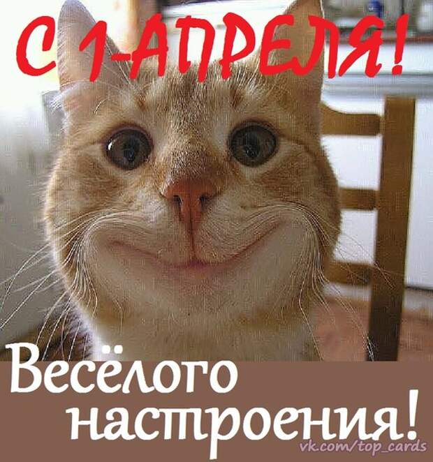 Похожее изображение