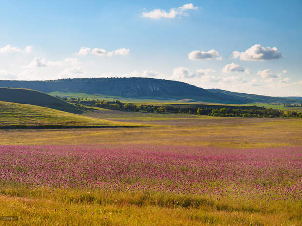 Весенние краски Крыма