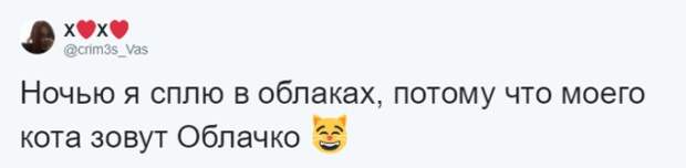 Кто во что горазд, или как правильно назвать своего питомца