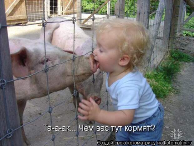 Мысли вслух :)