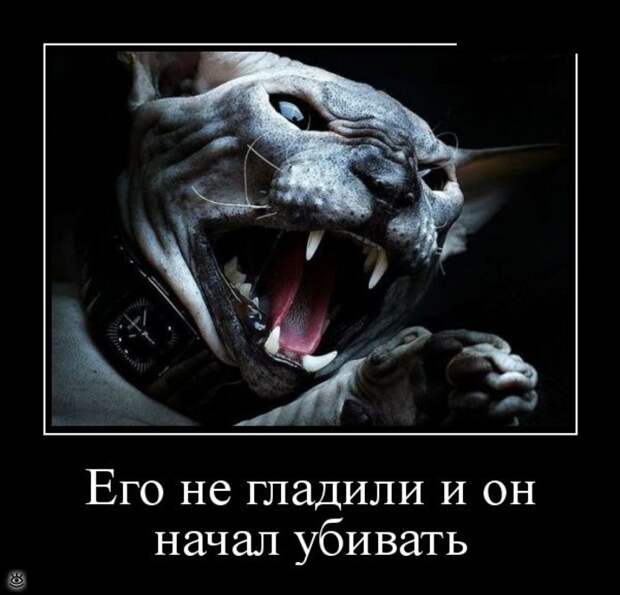 Расслабляйся осознанно! 15