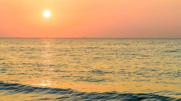 Российские ученые нашли способ очистить океан от антибиотиков