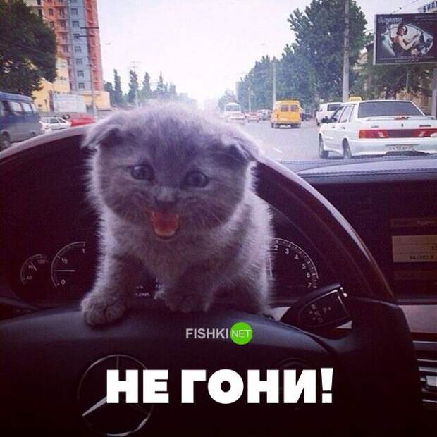 Свежая подборка автоприколов авто, автоприколы, приколы