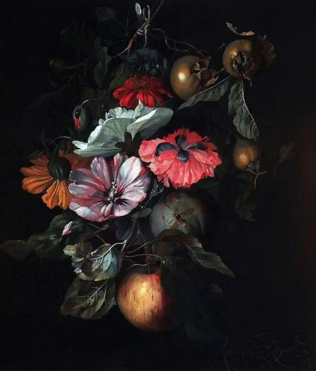  Rachel Ruysch (1664  1750).   