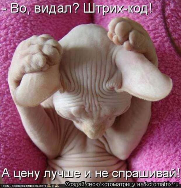 Котоматрицы(картинки с надписями)
