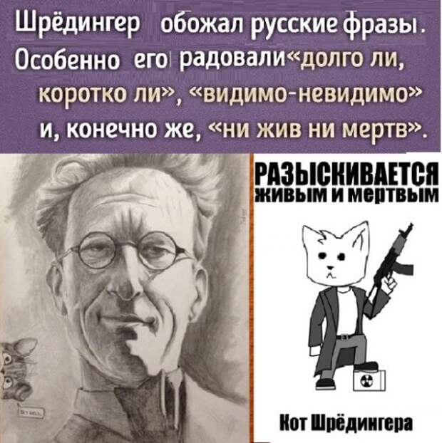 Картинки с надписями,истории и анекдоты